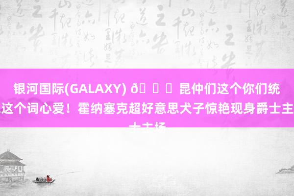 银河国际(GALAXY) 😍昆仲们这个你们统统这个词心爱！霍纳塞克超好意思犬子惊艳现身爵士主场