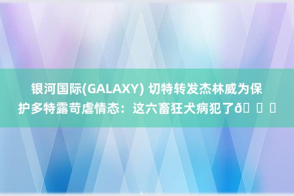 银河国际(GALAXY) 切特转发杰林威为保护多特露苛虐情态：这六畜狂犬病犯了😂