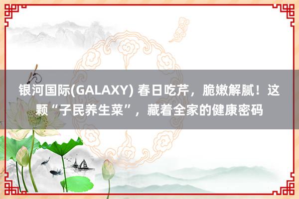 银河国际(GALAXY) 春日吃芹，脆嫩解腻！这颗“子民养生菜”，藏着全家的健康密码
