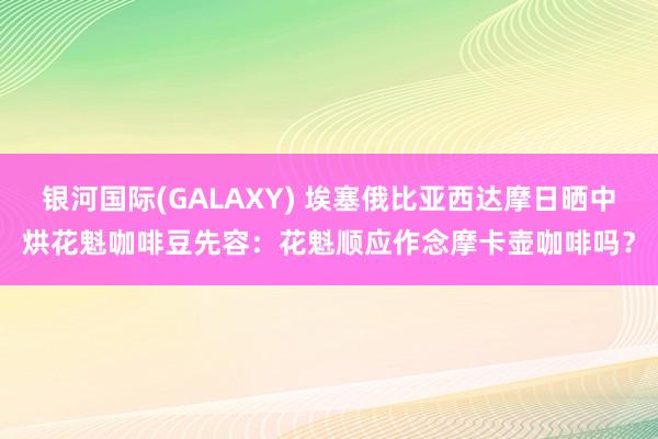 银河国际(GALAXY) 埃塞俄比亚西达摩日晒中烘花魁咖啡豆先容：花魁顺应作念摩卡壶咖啡吗？