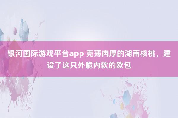 银河国际游戏平台app 壳薄肉厚的湖南核桃，建设了这只外脆内软的欧包