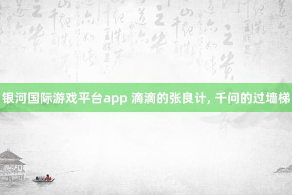 银河国际游戏平台app 滴滴的张良计, 千问的过墙梯