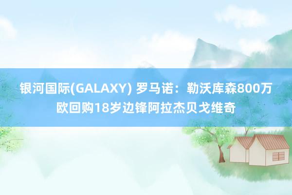 银河国际(GALAXY) 罗马诺：勒沃库森800万欧回购18岁边锋阿拉杰贝戈维奇