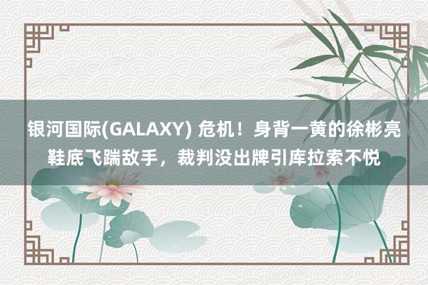 银河国际(GALAXY) 危机！身背一黄的徐彬亮鞋底飞踹敌手，裁判没出牌引库拉索不悦