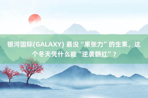 银河国际(GALAXY) 最没“果张力”的生果，这个冬天凭什么能“逆袭翻红”？