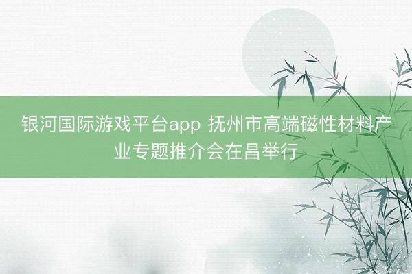 银河国际游戏平台app 抚州市高端磁性材料产业专题推介会在昌举行