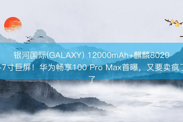 银河国际(GALAXY) 12000mAh+麒麟8020+7寸巨屏！华为畅享100 Pro Max首曝，又要卖疯了