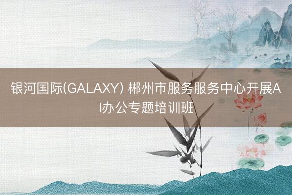 银河国际(GALAXY) 郴州市服务服务中心开展AI办公专题培训班