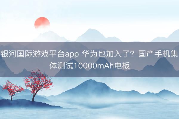 银河国际游戏平台app 华为也加入了？国产手机集体测试10000mAh电板