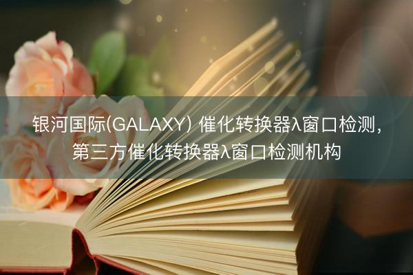 银河国际(GALAXY) 催化转换器λ窗口检测，第三方催化转换器λ窗口检测机构