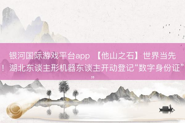 银河国际游戏平台app 【他山之石】世界当先！湖北东谈主形机器东谈主开动登记“数字身份证”