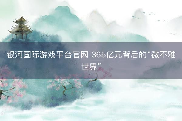银河国际游戏平台官网 365亿元背后的“微不雅世界”