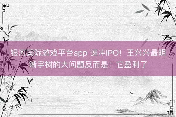 银河国际游戏平台app 速冲IPO！王兴兴最明晰宇树的大问题反而是：它盈利了