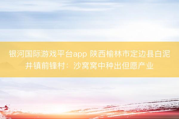 银河国际游戏平台app 陕西榆林市定边县白泥井镇前锋村：沙窝窝中种出但愿产业