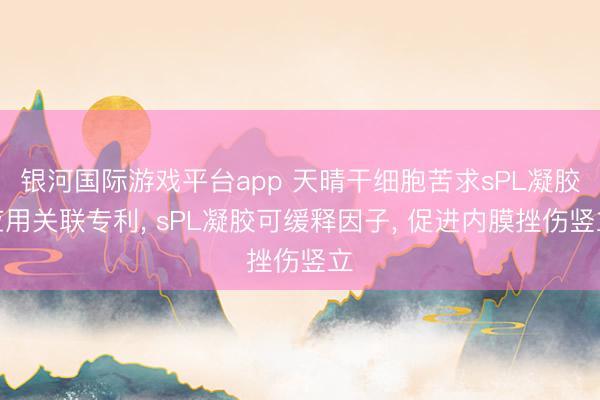 银河国际游戏平台app 天晴干细胞苦求sPL凝胶应用关联专利， sPL凝胶可缓释因子， 促进内膜挫伤竖立